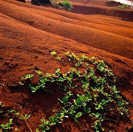 《枪匠模拟器：序章》5月10日上线Steam 免费游玩